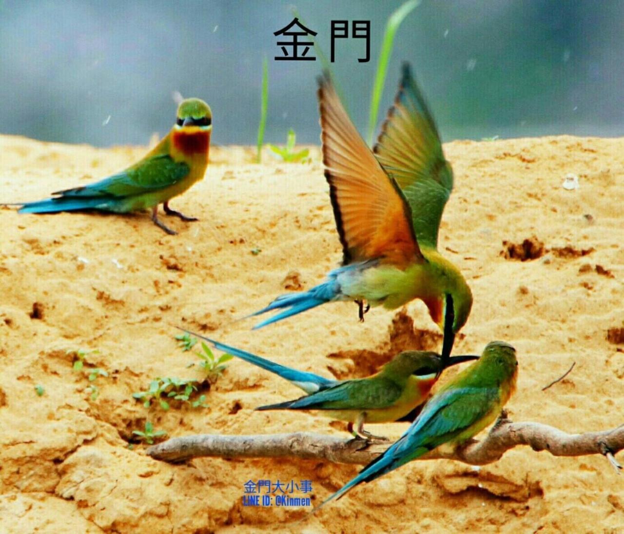 Starry Sky Inn Jinhu Exterior photo